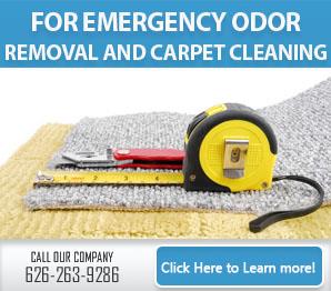 Blog | How To Deal With Carpet Moisture In The Basement